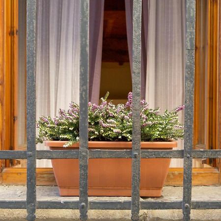San Frediano District - Apartment Florencja Zewnętrze zdjęcie